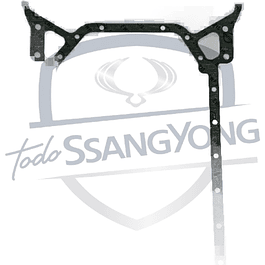 EMPAQUETADURA CARTER MUSSO 2.9