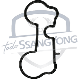 EMPAQUETADURA MULTIPLE ADM ACTYON 2.3 (USA 2)