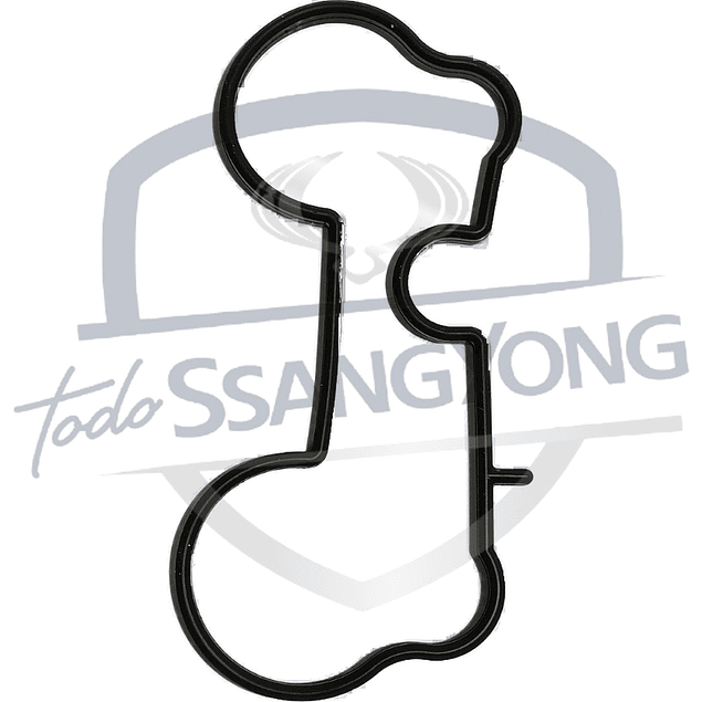 EMPAQUETADURA MULTIPLE ADM ACTYON 2.3 (USA 2)