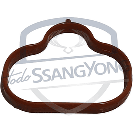 EMPAQUETADURA MULTIPLE ADM KORANDO BENC (USA