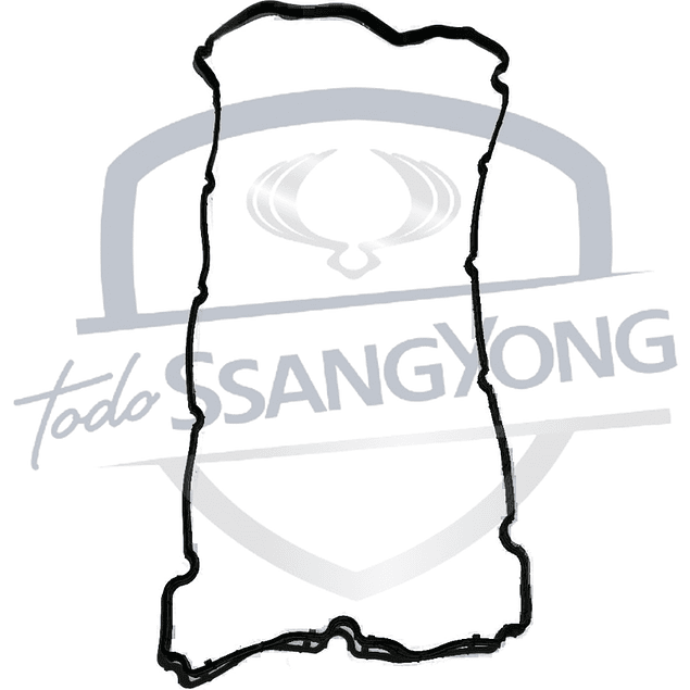 EMPAQUETADURA TAPA VALVULA TIVOLI 1.6 DSL