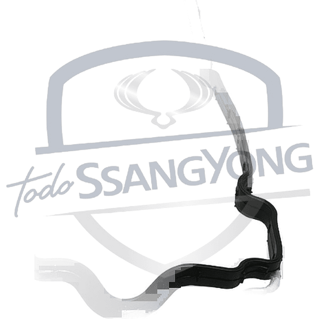 EMPAQUETADURA TAPA VALVULA TIVOLI 1.6 DSL