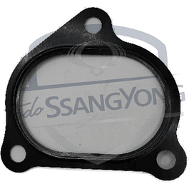 EMPAQUETADURA TUBO ADMISION NEW ACTYON