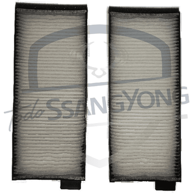 FILTRO POLEN MUSSO 2.9