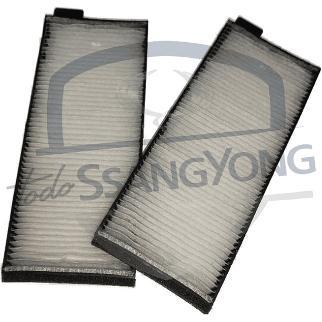 FILTRO POLEN MUSSO 2.9