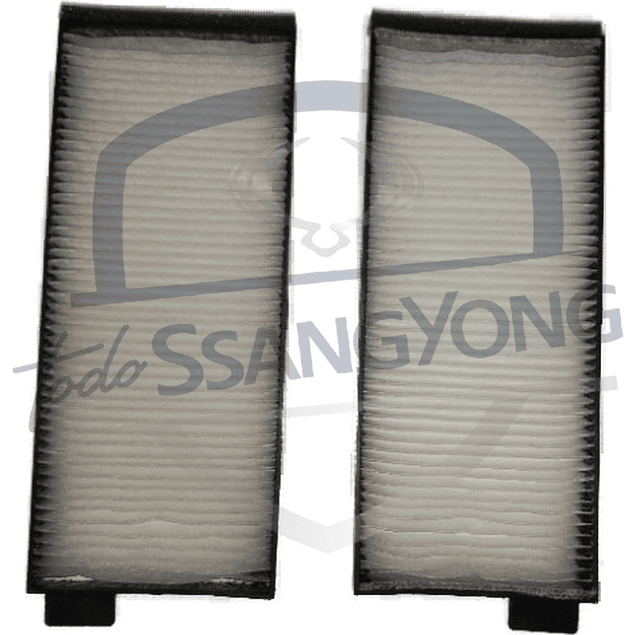 FILTRO POLEN MUSSO 2.9