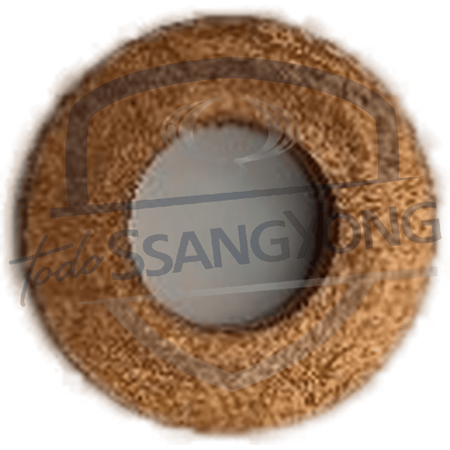 GOLILLA INYECTOR ACTYON