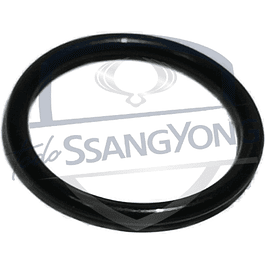 ORING INYECTOR NEW ACTYON