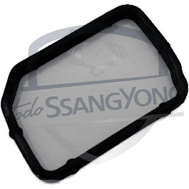 ORING TUBO BOMBA AGUA NEW ACTYON