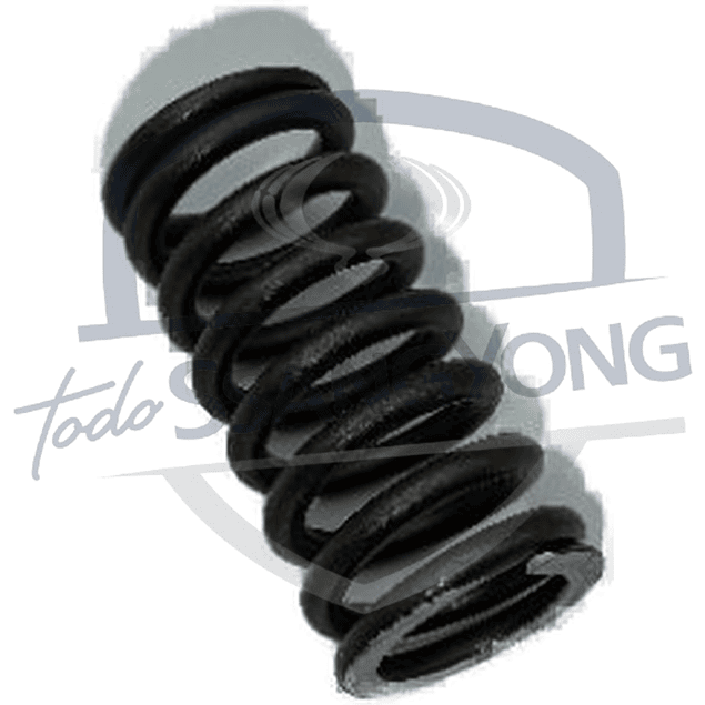 RESORTE VALVULA NEW ACTYON