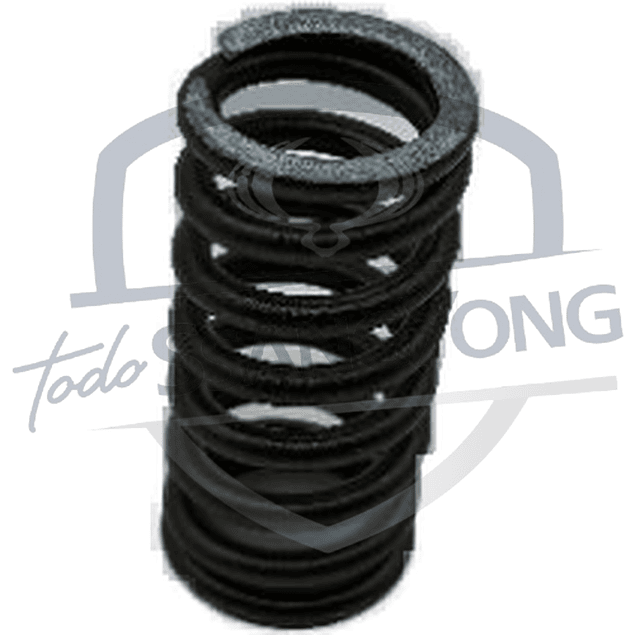 RESORTE VALVULA NEW ACTYON