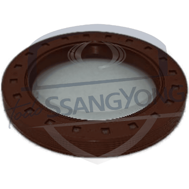 RETEN DELANTERO CIGUENAL ACTYON