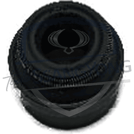 RETEN VALVULA ACTYON / NEW ACTYON