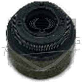 RETEN VALVULA TIVOLI 1.6