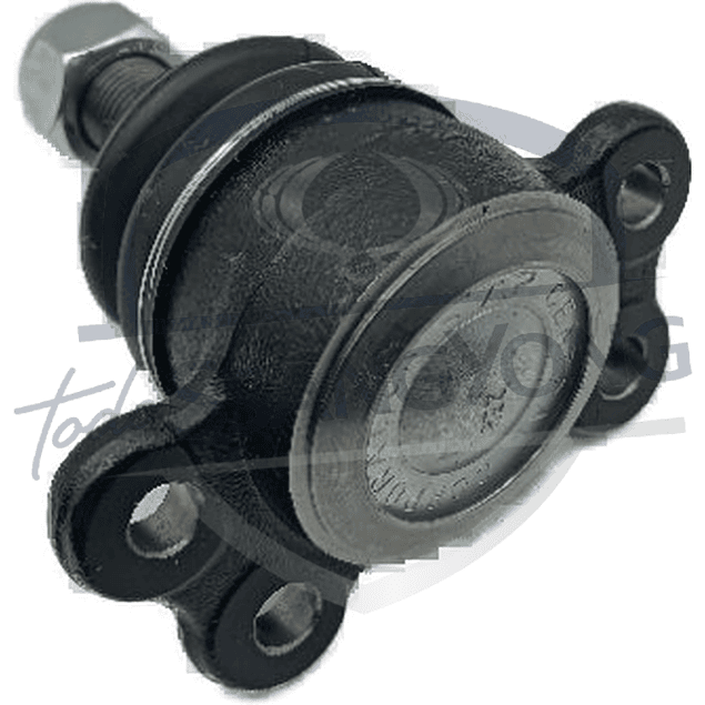 ROTULA SUPERIOR MUSSO