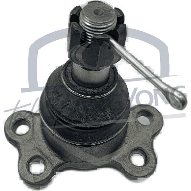 ROTULA SUPERIOR MUSSO