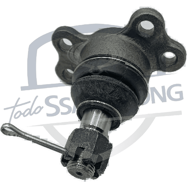 ROTULA SUPERIOR MUSSO