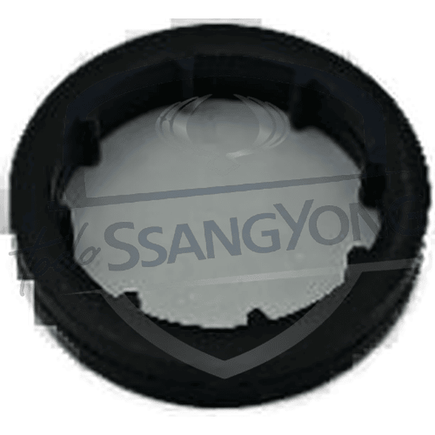 SELLO ENFRIADOR ACEITE ACTYON REDONDO (USA 3)