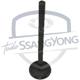 VALVULA ADMISION ACTYON