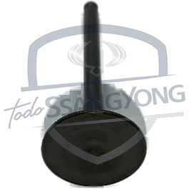 VALVULA ADMISION ACTYON 2.3 BENC