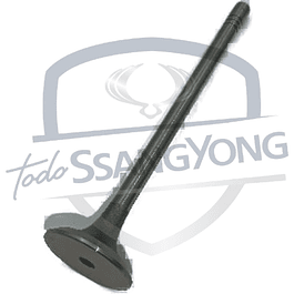 VALVULA ESCAPE ACTYON / REXTON 2.7