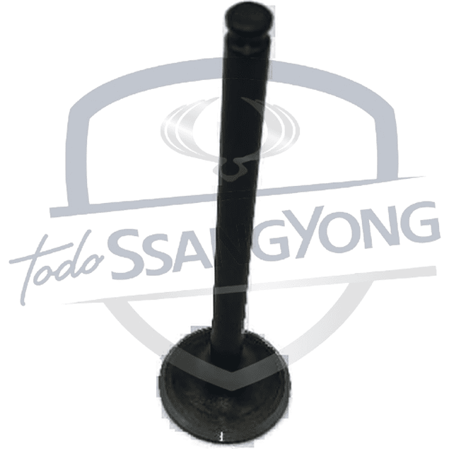 VALVULA ESCAPE ACTYON 2.3 BENC