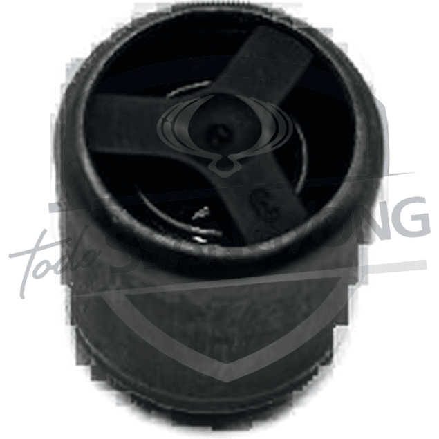 VALVULA RETORNO ACEITE CULATA ACTYON