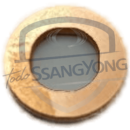 GOLILLA INYECTOR NEW ACTYON