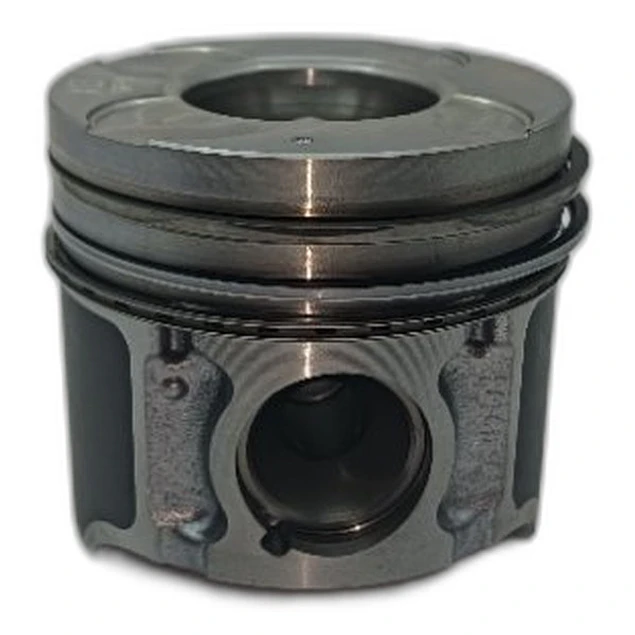 PISTON CON ANILLOS ACTYON