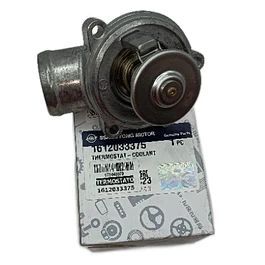 TERMOSTATO ACTYON 2.3 BENC CON CARCASA