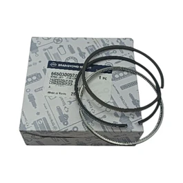 JUEGO ANILLOS ACTYON / NEW ACTYON POR PISTON