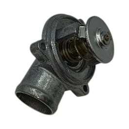 TERMOSTATO ACTYON 2.3 BENC CON CARCASA