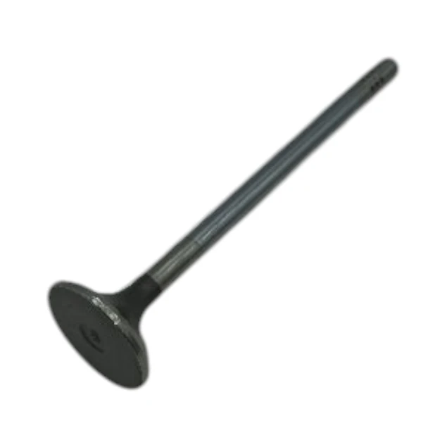 VALVULA ESCAPE ACTYON / REXTON 2.7