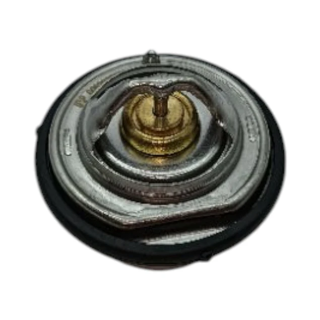 TERMOSTATO ACTYON