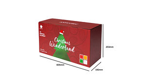 PLA Seda Kit Navidad Anycubic | Filamentos