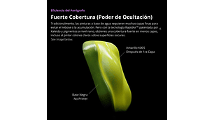 Pintura Acrílica Set 24 Colores Auto Brillante Gloss / Perlas, Más Disolvente y Limpiador 60ML Kaleido | Para Aerógrafos