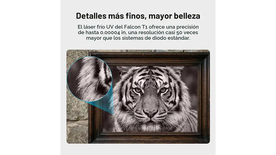 Falcon T1 UV de 5 W Ultra Violeta Creality | Grabado Láser y Cortadora Láser CNC 9