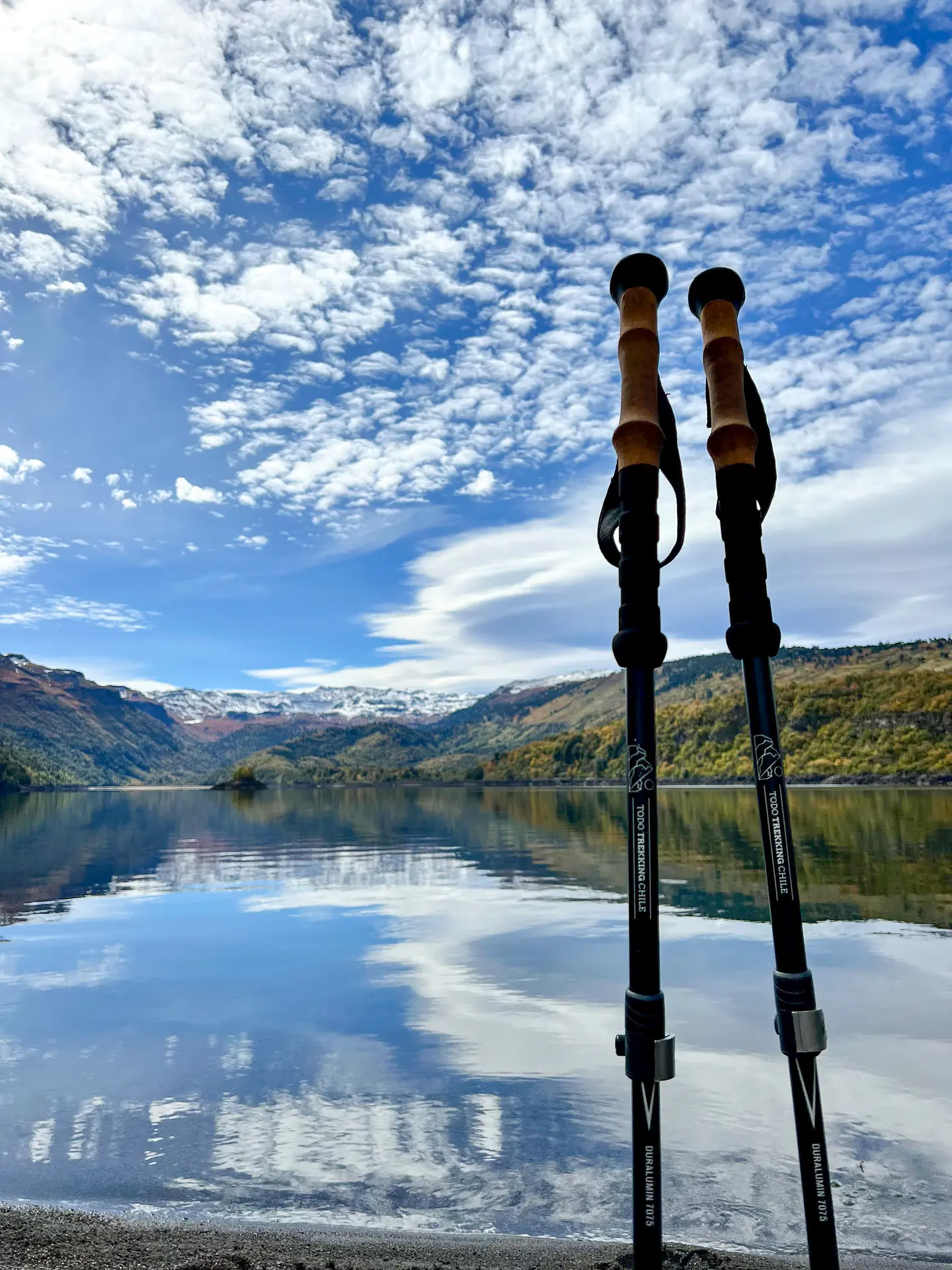 Par de bastones de trekking  4