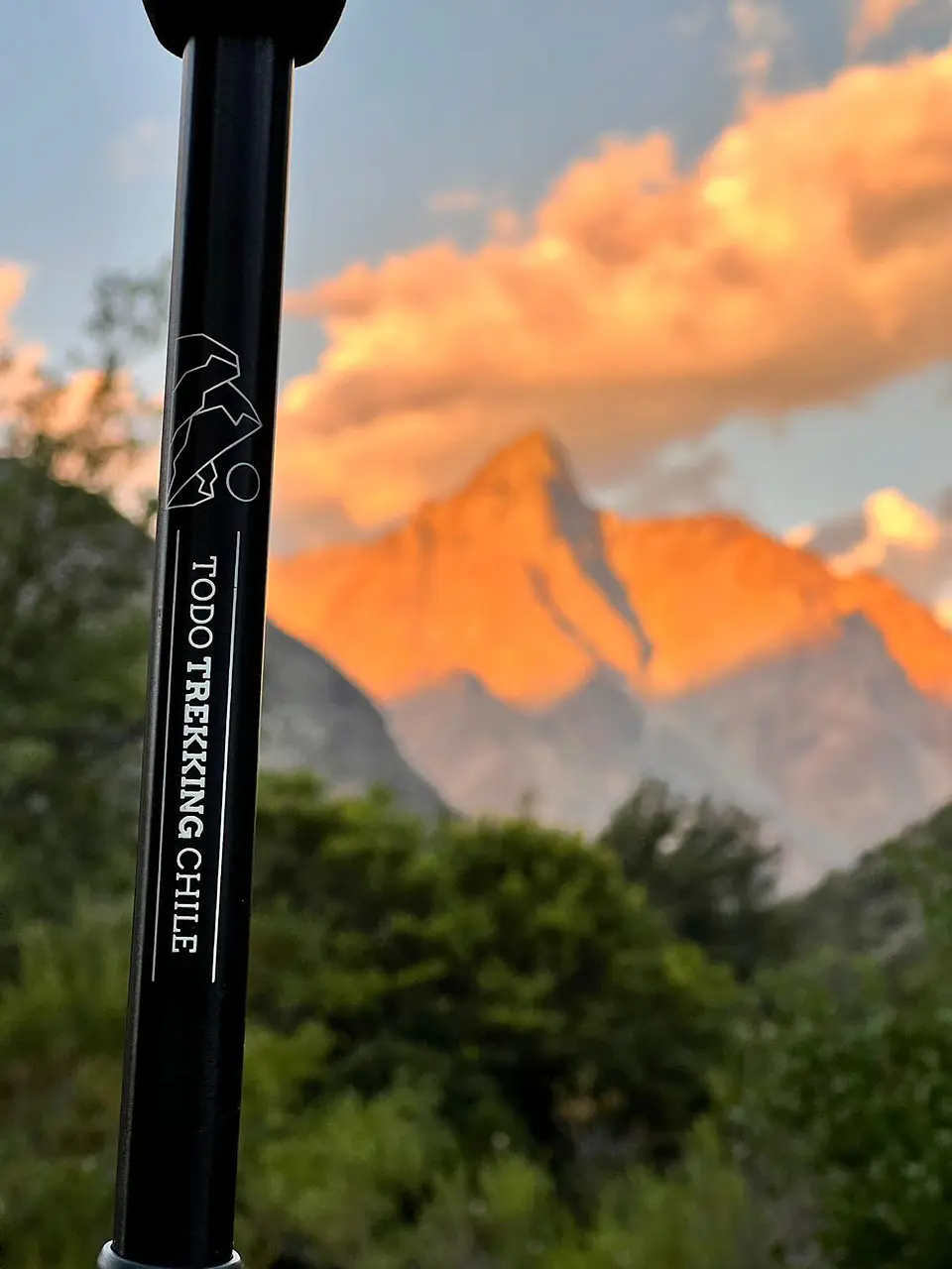 Par de bastones de trekking  5