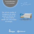 LIPOACTIVEX 10 ampollas x 5ml DENOVA  2