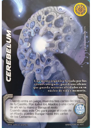 Cerebelum