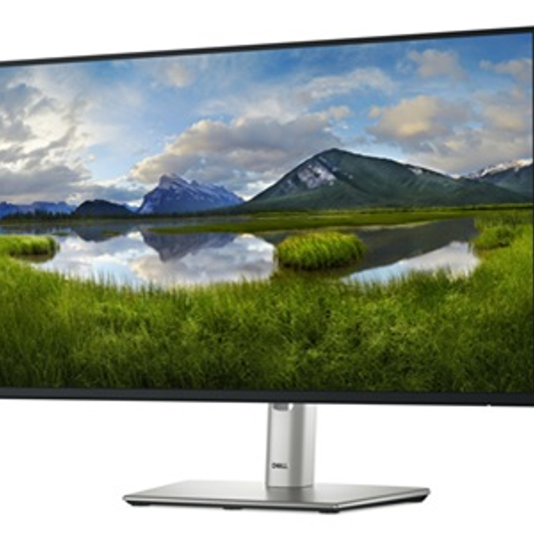 DELL MONITOR P2425H 23.8