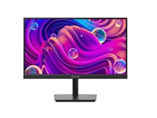 HIK Monitor E-LED HD 21.45