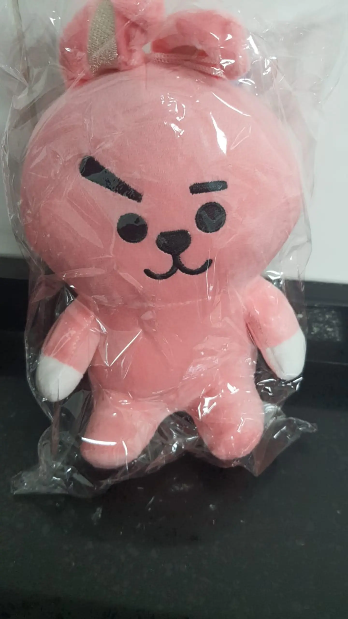 PELUCHES 20 CM DE ALTURA 2