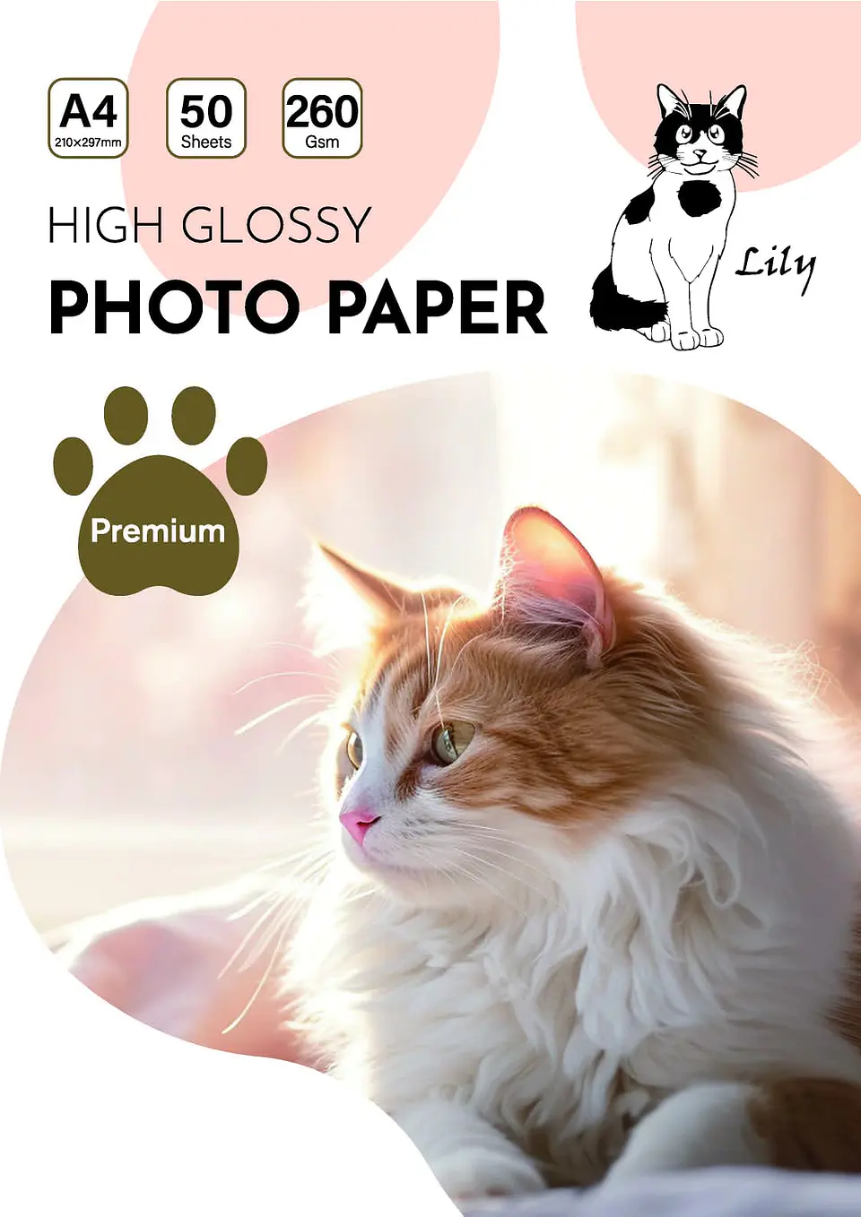  Papel Fotográfico Glossy A4 260gr 50 hojas  2