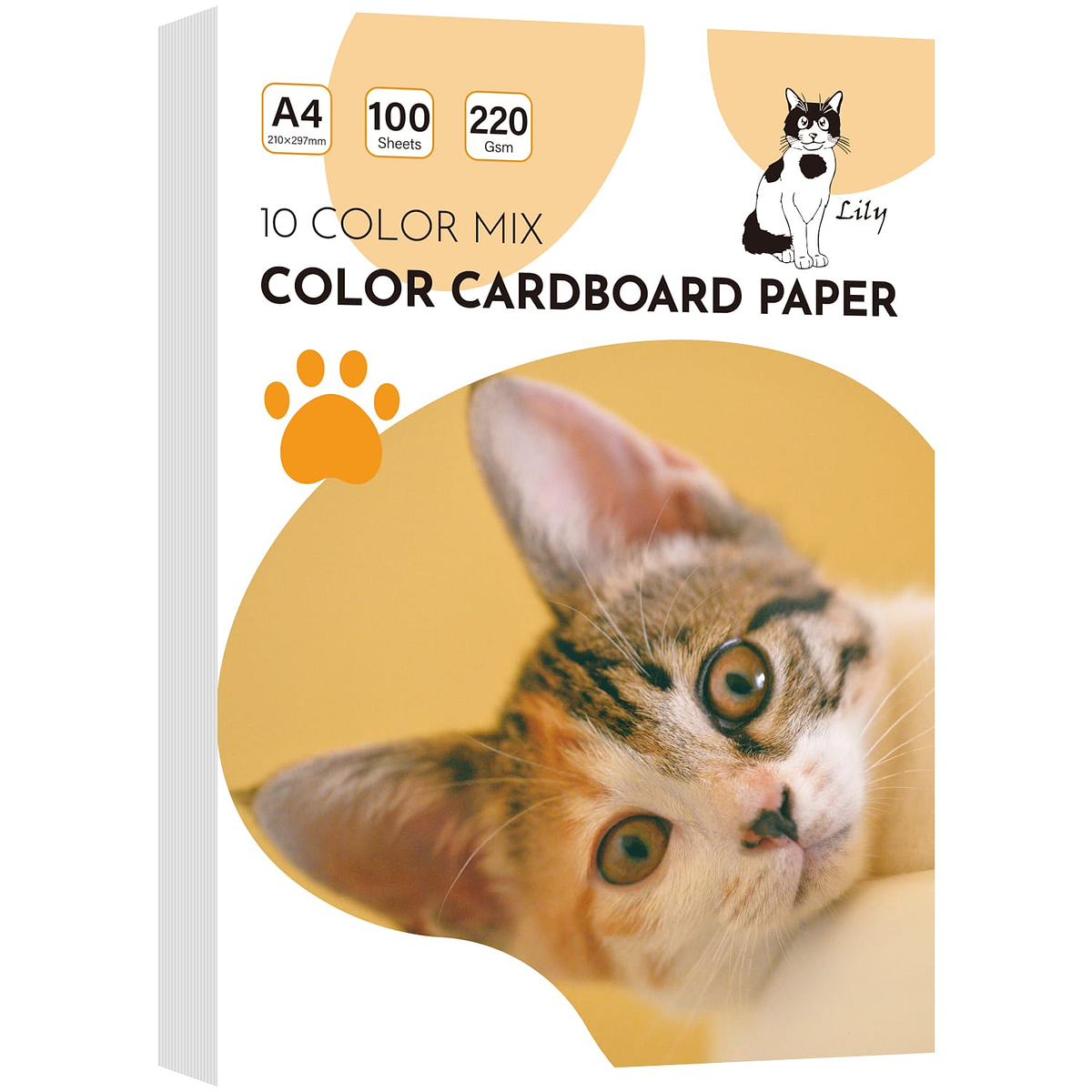 Baker Ross AV535 - Tarjeta De Color Arcoíris A4 (220 G/m²), Perfecta