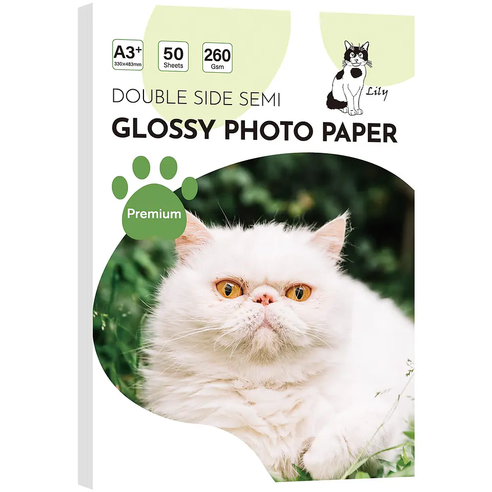 PAPEL FOTOGRAFICO SEMIBRILLO 260 GRAMOS A3+ 1