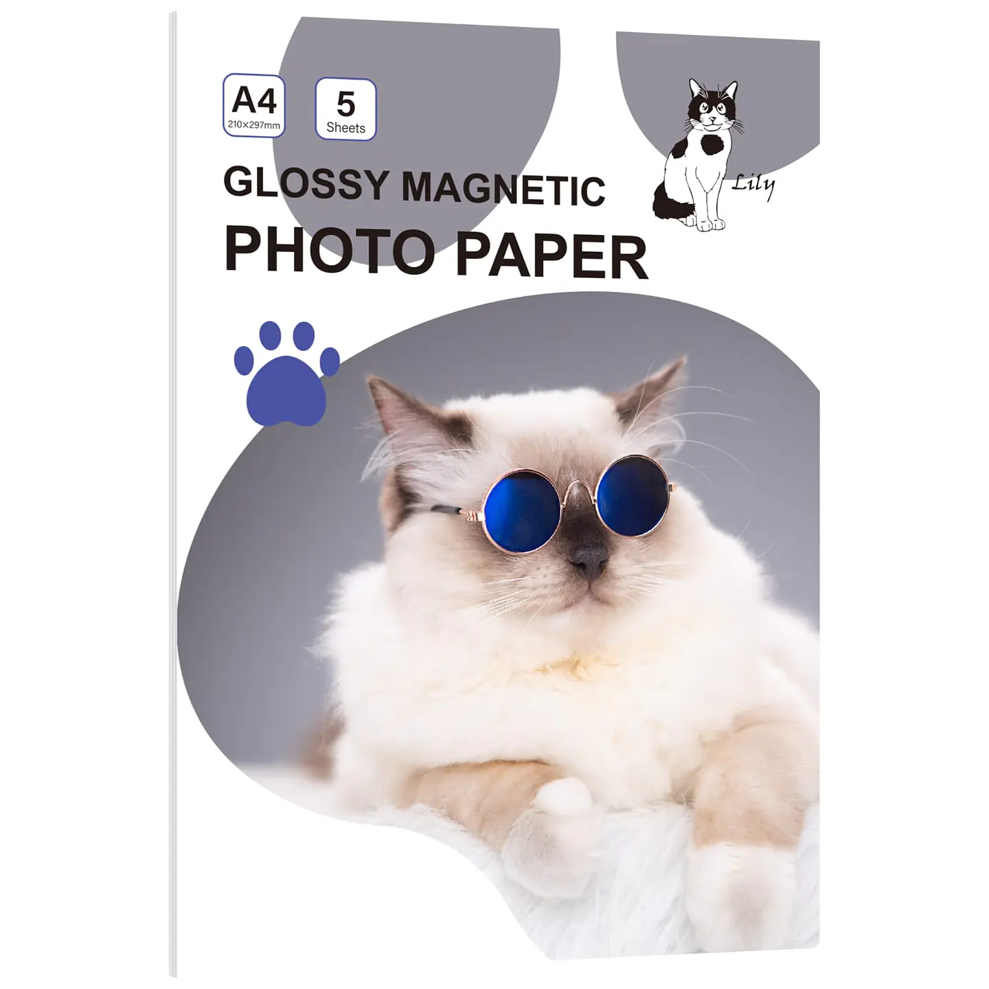 PAPEL MAGNETICO A4  5 hojas  1