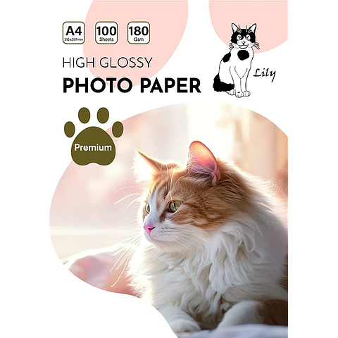 Caja de 10 resmas Papel glossy 180gr A4 100 hojas + Envio incluido a todo Chile continental