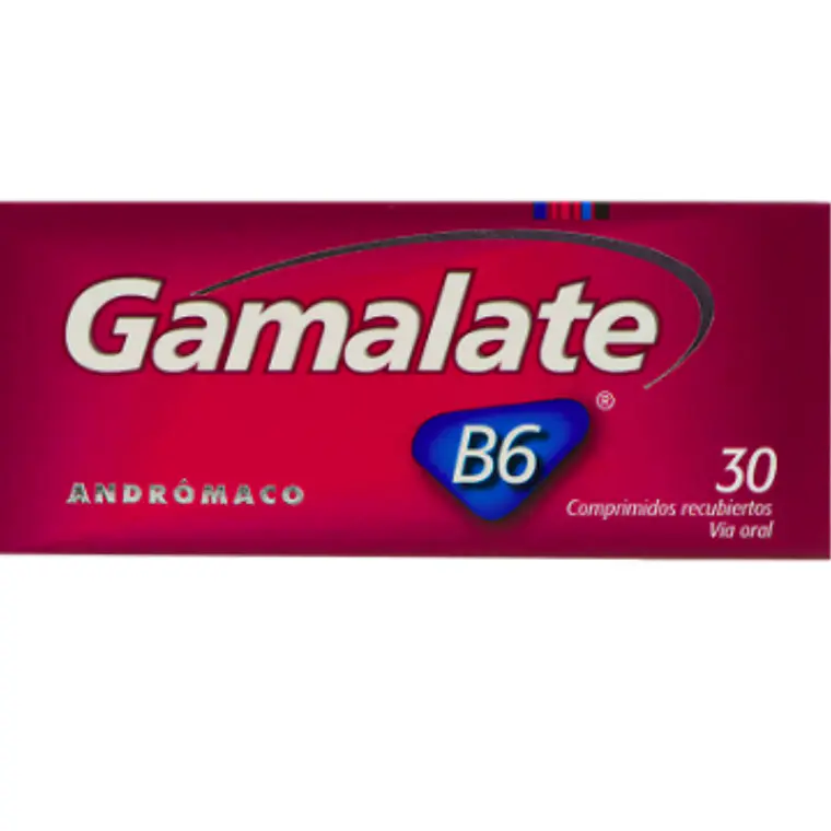 Gamalate B6 Vitamina 30 Comprimidos. 1